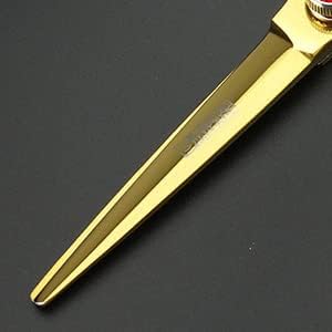 6 Inch Hairdressing Scissors Set, Hair Clipper(6 Inch Gold Set)