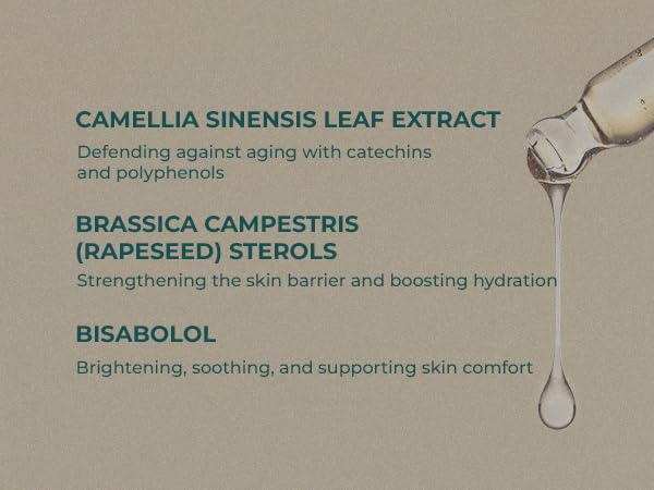 INNA ORGANIC Organic Rejuvenating Lotion, Anti-aging, Wrinkle Care, Fine Lines & Tightening, EWG & COSMOS Certified | Gifting | Frankincense Essential Oils Infused Skin Care | Luxury Clean Beauty