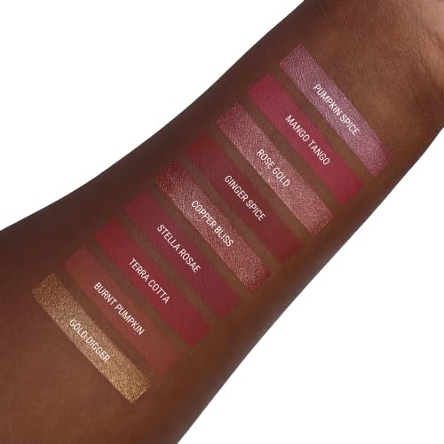 Aromi Ginger Spice Matte Liquid Lipstick | Nutmeg, Terra Cotta Lip Color, Vegan & Cruelty-free Beauty, Burnt Orange, Long-lasting, Smudge Proof, Handmade (Ginger Spice)