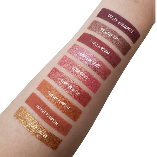 Aromi Dusty Burgundy Matte Liquid Lipstick | Sepia, Rosy Brown Lip Color (Dusty Burgundy)