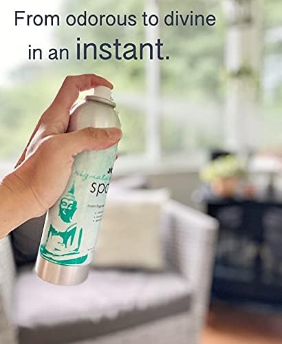 AP Fragrance Fresh Laundry - Air Freshener Spray - Concentrated Odor Eliminator for Home, Car, Office