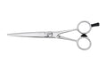 Cricket S3 Premium Series 600 Professional Hair Cutting Shears, 6 Inch