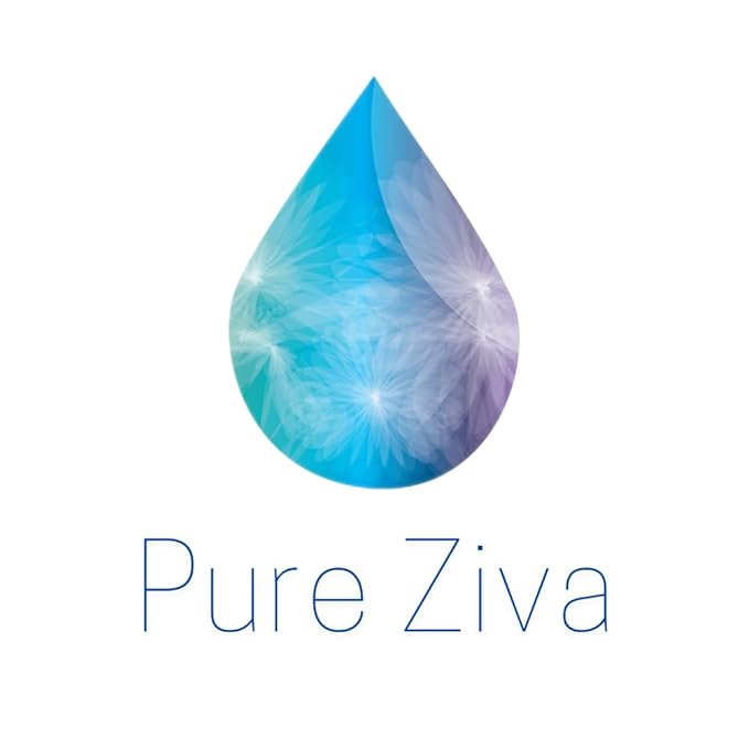Pure Ziva Off White, Matte Medium Grey Blue, and Glitter Black Deep Navy Blue Vegan Eyeshadow Trio Palette; Talc, Paraben & Cruelty Free