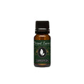 Eternal Essence Oils Expedition 10ml Fragrance Oil – Pine Needles, Bergamot Mist, Vetiver & Cedarwood – Earthy Green Blend Inspired by Forest Trails & Herbs