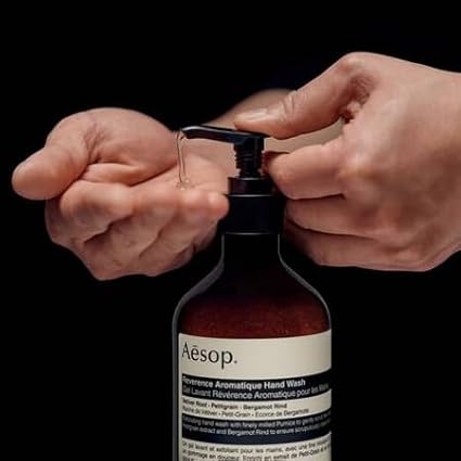 Aesop Reverence Aromatique Exfoliating Hand Wash | Exfoliating Hand Soap with Finely Milled Pumice | Gentle Cleansing & Skin-Smoothing Formula with Vetiver, Petitgrain & Bergamot | 500mL / 16.9 oz