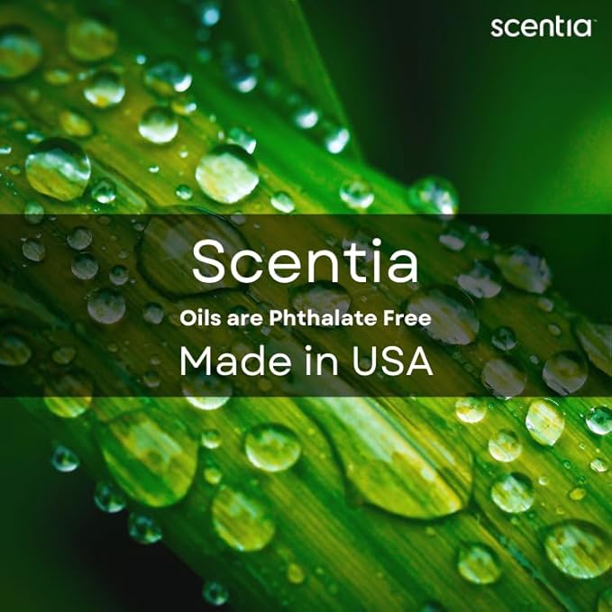 Scentia Mystical Aromatherapy Oil for Diffuser – Hotel Scent Inspired by Wynn Las Vegas – 20 mL – Melon, Raspberry & Jasmine Natural Fragrance Oil for Waterless & Cold Air Diffusers, Made in USA