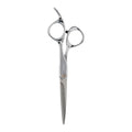Fromm Professional Explore 5.75" Hair Cutting Shears for Wet & Dry Hair Polished Silver Japanese Steel Scissors with Beveled Blade, Professional Shears For Hair Stylist, Cosmetology & Salon Supplies