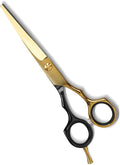 Ethyxe 6.5” Professional Hair Cutting Scissors – Japanese Stainless Steel Salon Scissors, Premium Barber Shears for Hair Cutting, Home Use for Man Woman Adults Kids Babies (Black & Gold)