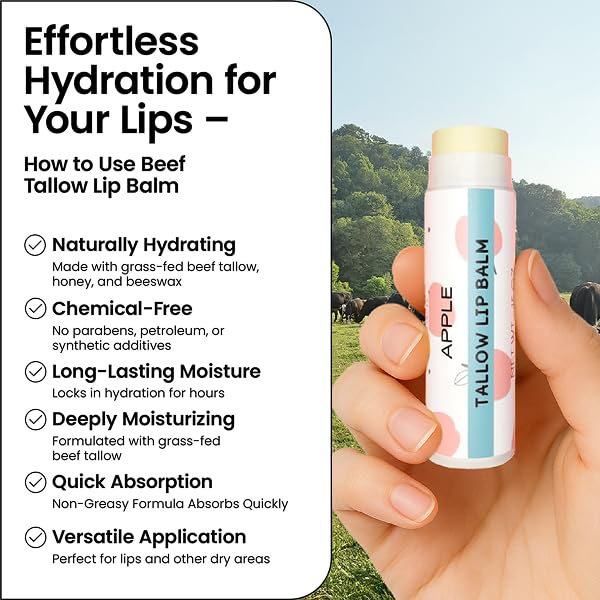 Tallow Lip Balm by Cattle Creek – All-Natural Ingredients, Long-Lasting Moisture and Hydration for Dry, Cracked, and Chapped Lips, Soothing Formula for Soft Skin (Pack of 3, Apple)