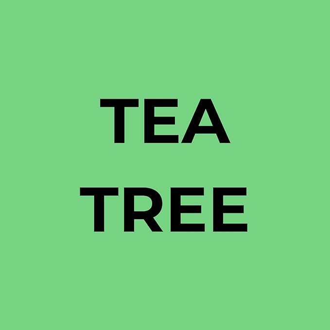 Soapbox Tea Tree Oil & Mint Shampoo & Conditioner Set, Leaves Hair & Scalp Balanced & Soothed - Clean Ingredients Free of Harsh Chemicals, Sulfates, Parabens & Silicones - 1 Liter Each