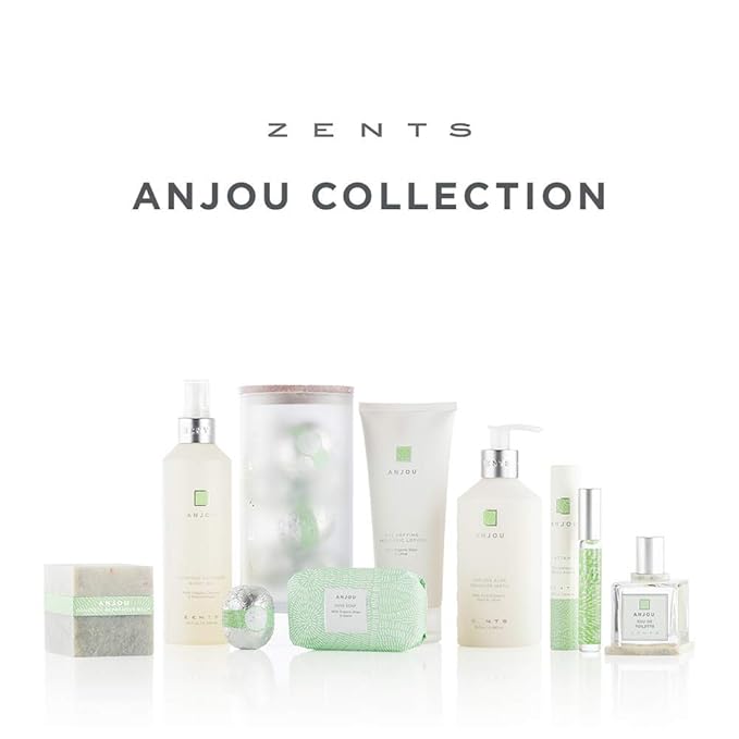 Zents Hand & Body Wash (Anjou Fragrance) 10 fl oz