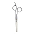 Fromm Professional Dare 5.75" Precision Slide & Point Hair Cutting Shears in Matte Black, Japanese Steel Scissors with Semi-Convex Blade for Expert Salon Stylists