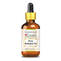 Greenwood Essential Bay Essential Oil (Pimenta racemosa) with Glass Dropper | Pure | Non-Sticky | Non-Greasy | Lightweight | Men & Women | All Skin Types | Steam Distilled 100ml (3.38 oz)