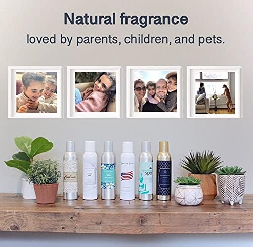 AP Fragrance Fresh Laundry - Air Freshener Spray - Concentrated Odor Eliminator for Home, Car, Office
