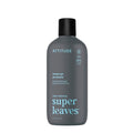 ATTITUDE Shower Gel Body Wash for Men, 98% Natural Origin Ingredients, Paraben & Phthalate Free, EWG Verified, Cleanses Without Drying, Eucalyptus & Sage,14 Fl Oz