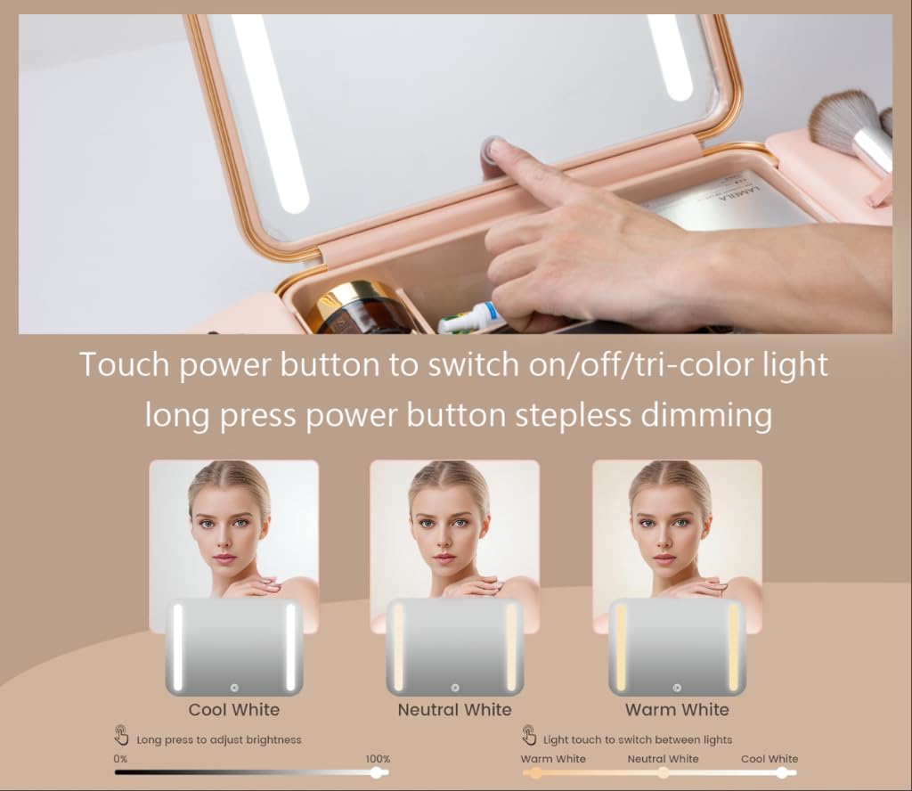 ZhenGuiRu Makeup Case with LED Lighted Mirror, 11.5''x 8.7'' Portable Travel Makeup Organizer, Toiletry Storage Makeup Bag Gift for Lady, DIY Dividers Makeup Box with 5X Magnifying Mirror (Pink)