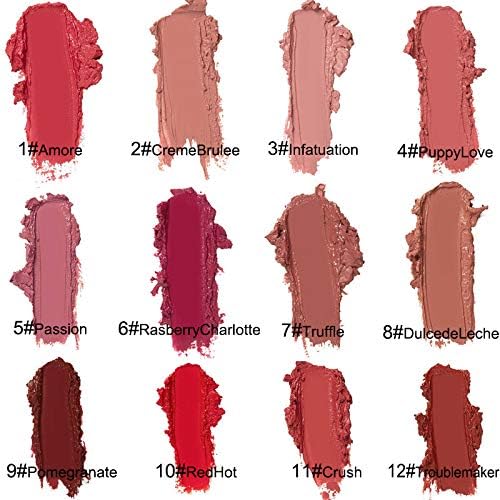 Wegodal 12 Colors Lips Staining Lip Oil, 2025 Upgrade Cream Texture Lipstick Long-Lasting Moisturizing Lip Oil, Waterproof Lipstick Creamy Lip Gloss Non-stick to Cup (#04, One Size)