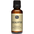 P&J Trading Fragrance | Eucalyptus Oil 30ml - Candle Scents for Candle Making, Freshie Scent, Soap Making Supplies, Diffuser Oil Scents