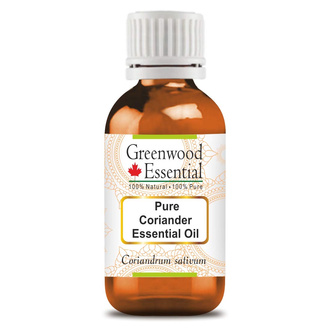 Greenwood Essential Pure Coriander Essential Oil (Coriandrum sativum) 30ml (1.01 oz)