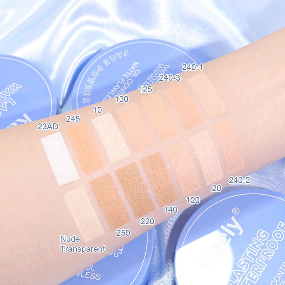 FeiCuiYun Oil Control Matte Perfection Face Powder Compact For Women, Matte Smooth Flawless Setting Powder Makeup, Polvo Compacto De Maquillaje, Waterproof Long Lasting, 0.35Oz,(Nude Translucent, 1)