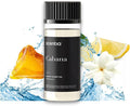 Scentia Coastal (Cabana) Hotel Scent Diffuser Oil – Luxury Fragrance Inspired by 5-Star Spa – 50 mL – Jasmine, Bergamot & Sea Breeze Essential Oil Blend for Home, Office & Aromatherapy Diffusers