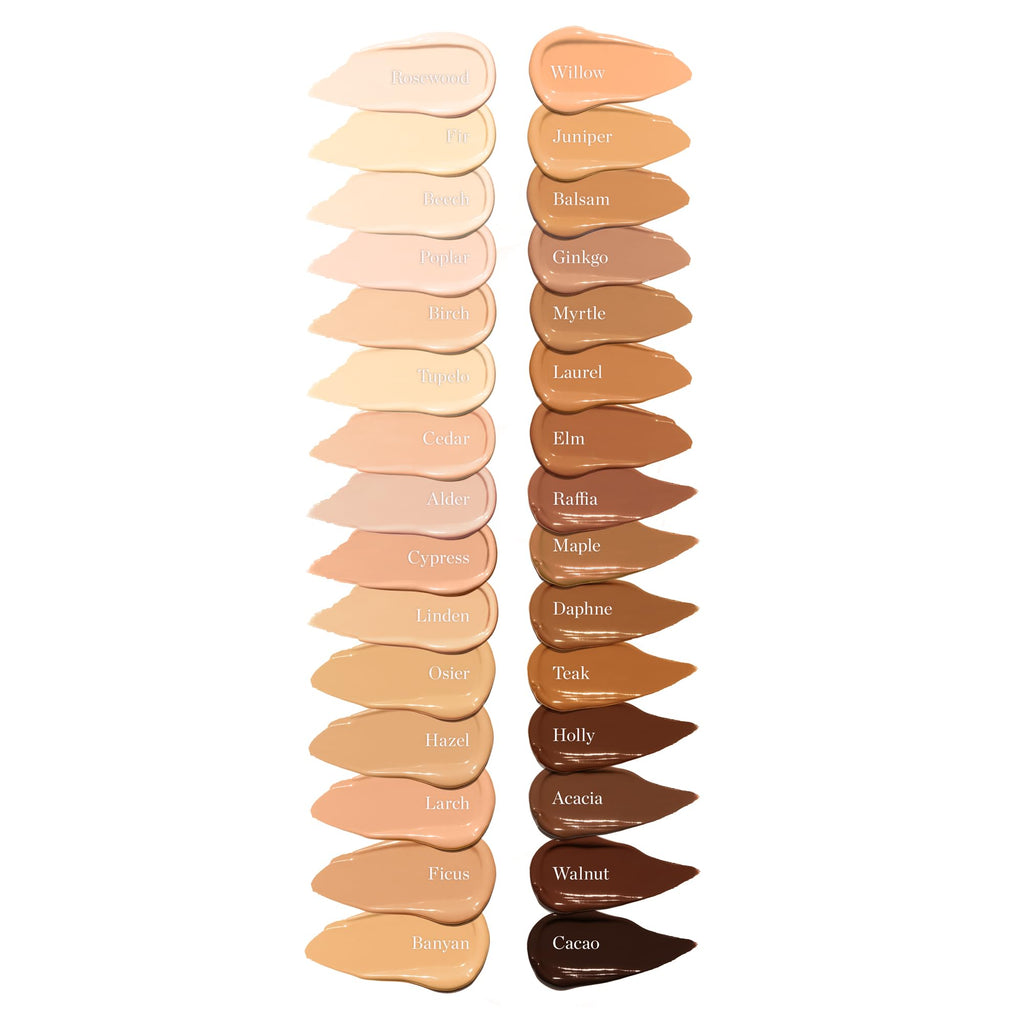 Ogee Complexion Perfecting Under Eye Concealer, DAPHNE 10.50C