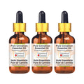 Greenwood Essential Pure Cinnamon Essential Oil (Cinnamomum zeylanicum) with Glass Dropper Steam Distilled (Pack of Three) 100ml X 3 (10.1oz)