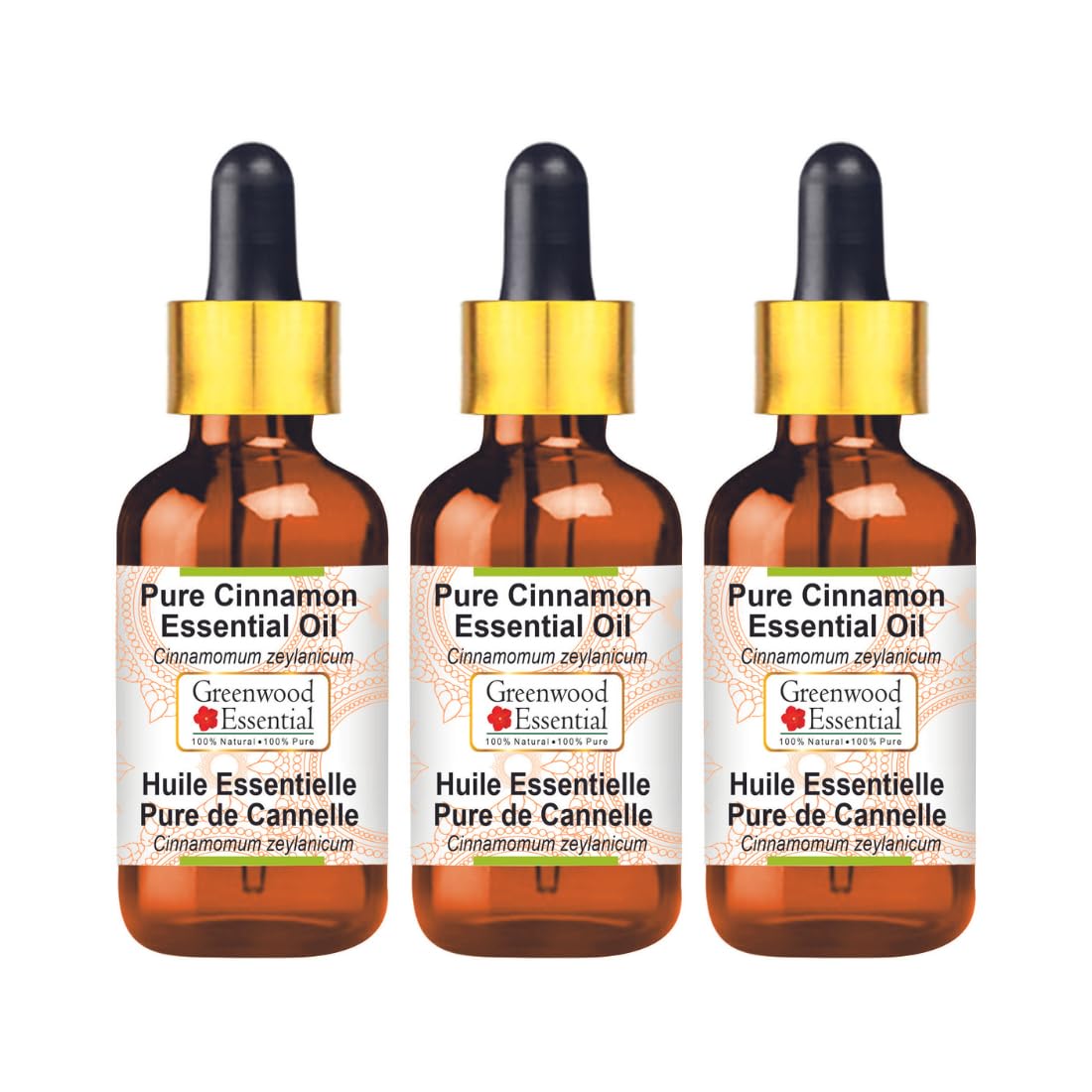 Greenwood Essential Pure Cinnamon Essential Oil (Cinnamomum zeylanicum) with Glass Dropper Steam Distilled (Pack of Three) 100ml X 3 (10.1oz)
