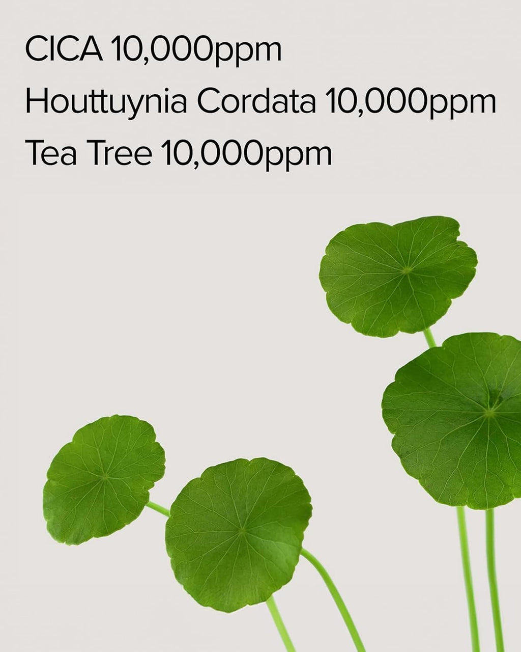 Mary&May CICA Heartleaf Tea Tree Calming Mask, 30 Sheets Pull-Out
