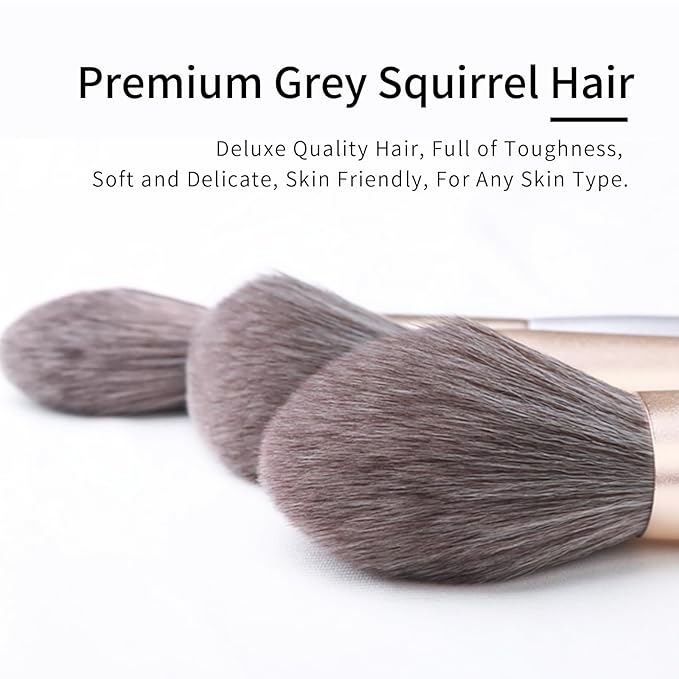 ENZO KEN Natural Hair Makeup Brushes Set Professional, Grey Squirrel Hair Makeup Brush Set with Case, Unique Cosmetic Brushes Makeup Set, Natural Makeup Brushes, Natural Bristle Makeup Brushes -Silver