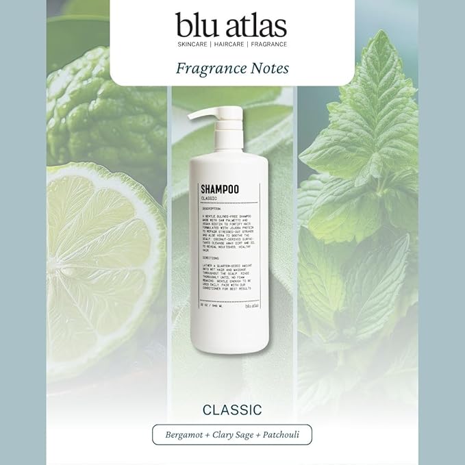 Blu Atlas Natural Shampoo for Men — Sulfate-Free for All Hair Types, 15 Ingredients, No Filler, Helps with Dandruff and Dry Scalp — Classic Scent, 32 oz