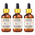 Greenwood Essential Pure Coriander Essential Oil (Coriandrum sativum) with Glass Dropper 100ml X 3 (10 oz)