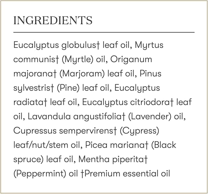 Young Living R.C. Premium Essential Oil 15 ml | Aromatherapy for Diffuser, Massage & Yoga | Invigorating Menthol & Refreshing Scent | Supports Breathing Comfort & Wellness Routine