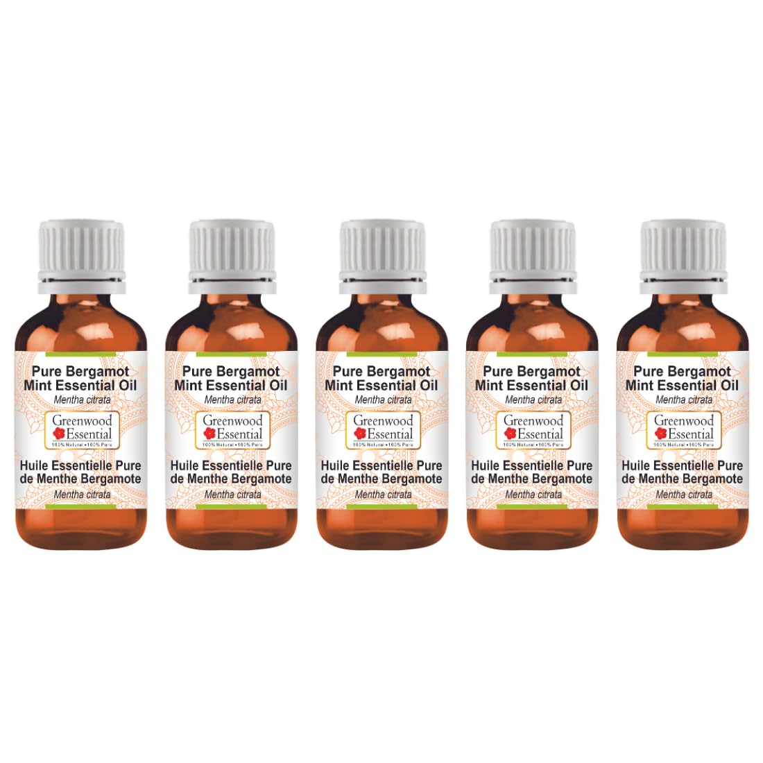 Greenwood Essential Pure Bay Essential Oil (Pimenta racemosa) Steam Distilled (Pack of Five) 100ml X 5 (16.9 oz)
