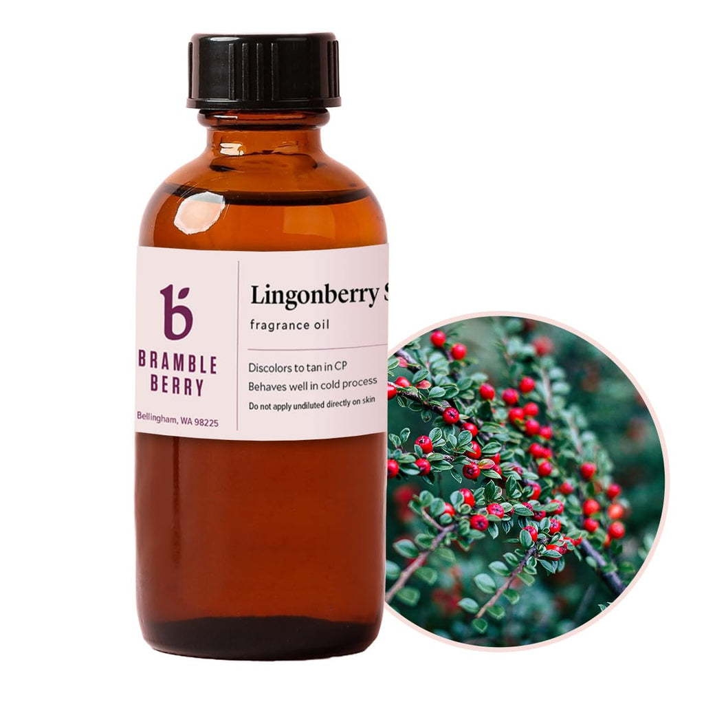 Brambleberry Lingonberry Spice Fragrance Oil | for Soap, Candles & Lotion