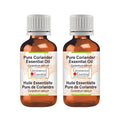 Greenwood Essential Pure Coriander Essential Oil (Coriandrum sativum) (Pack of Two) 100ml X 2 (6.76 oz)
