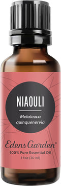 Edens Garden Niaouli Essential Oil- 100% Pure Premium Grade, Undiluted, Natural, Therapeutic, Aromatherapy, The Best for Diffuser, Skin, Candle, Humidifiers 30 ml (1 fl oz)