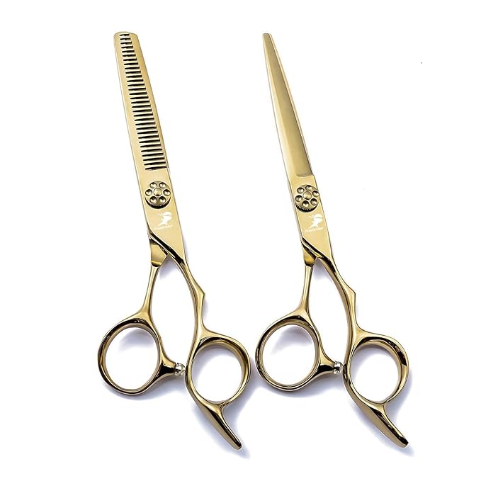 ROCOCO 6.0 Inch Hand Sharpened Hair Cutting Shears Set with Case - Golden