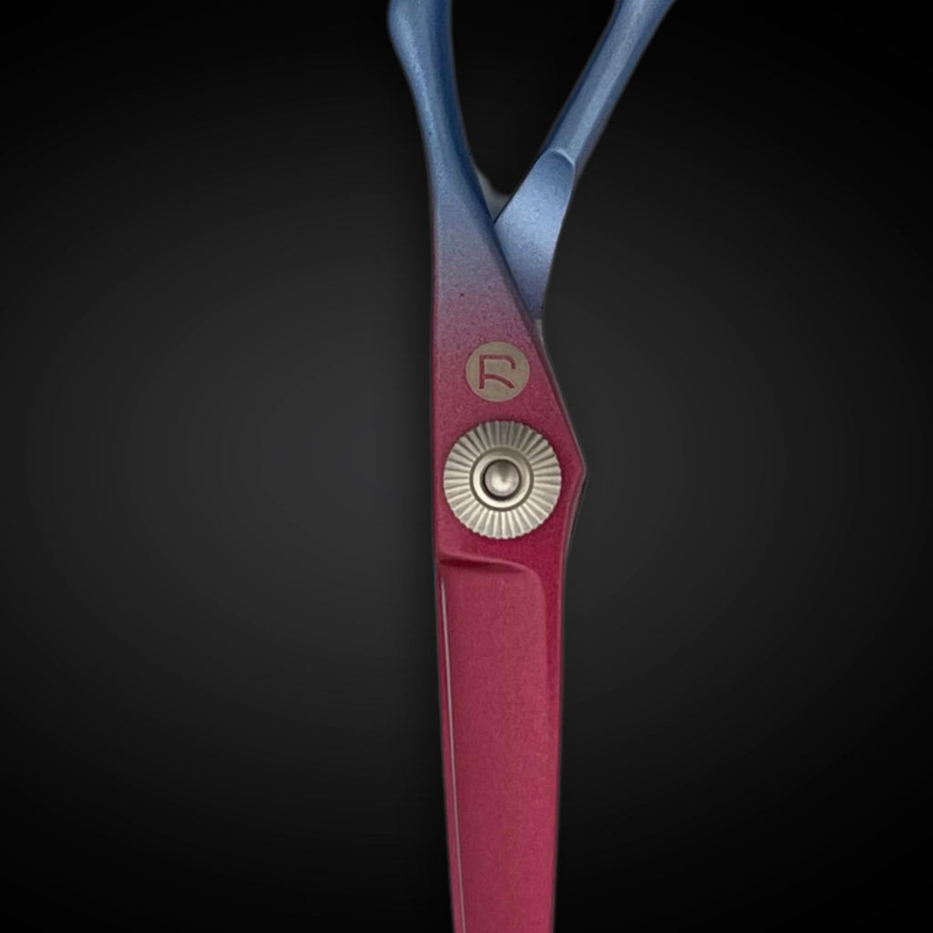 6 Inch Hair Shears Set - Rainbow Color Hair Cutting Scissors and Texturizing Shears - 440C Stainless Steel With Titanium Coating - Convex Blades for Wet or Dry Hair (Hair Cutting Shears)