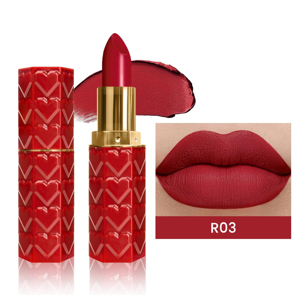 evpct 1Pcs Dark Red Lipstick, Silky Velvet Matte Lipstick Pack Sets for Women
