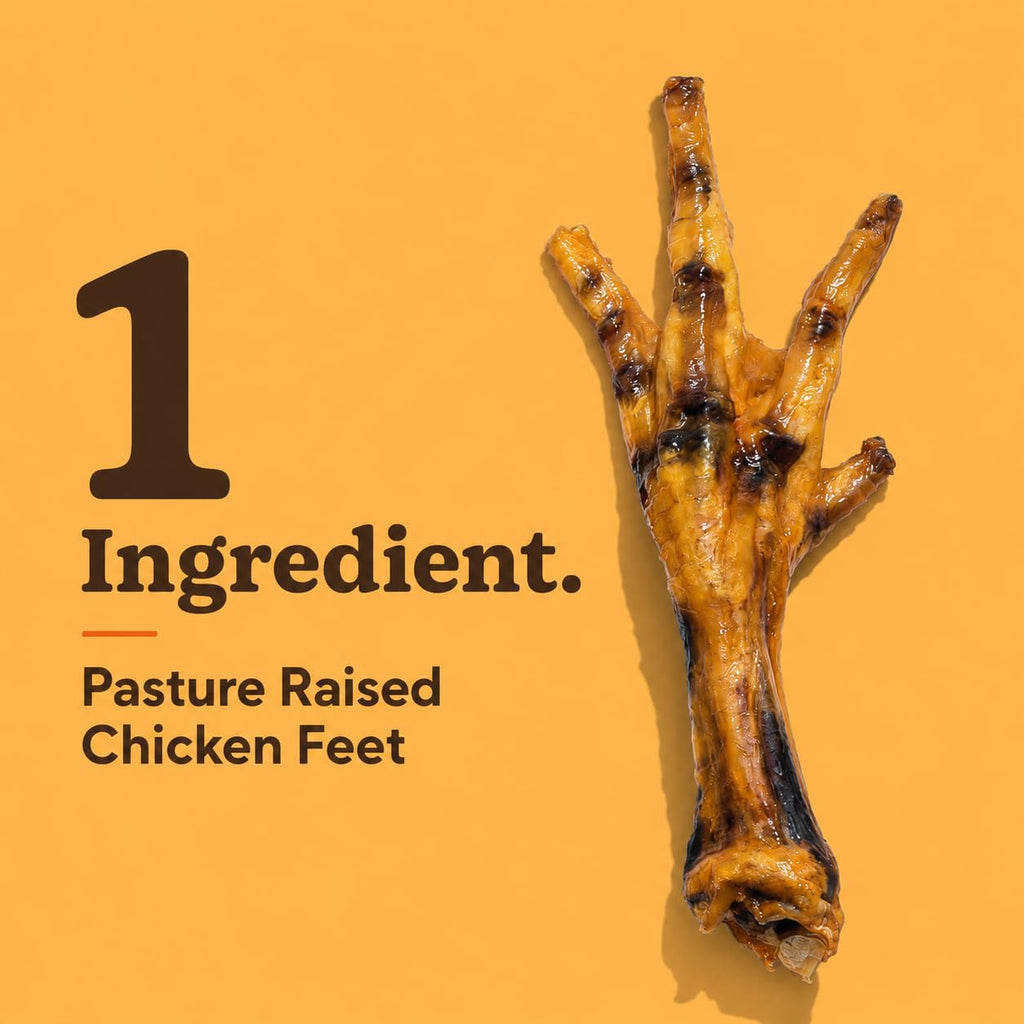 Jack&Pup Dried Chicken Feet Dog Treats | 100% Natural, Fully Digestible, Dehydrated Chicken Feet for Dogs High Protein, Joint Support (75 Pack) Economical Alternative to Duck Foot and Pig Ears
