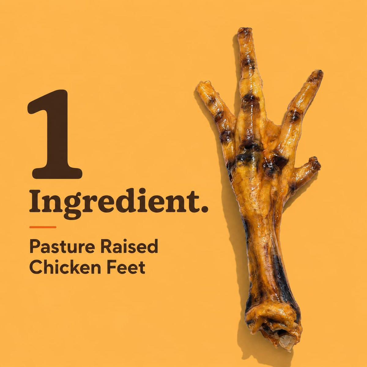 Jack&Pup Dried Chicken Feet Dog Treats | 100% Natural, Fully Digestible, Dehydrated Chicken Feet for Dogs High Protein, Joint Support (75 Pack) Economical Alternative to Duck Foot and Pig Ears