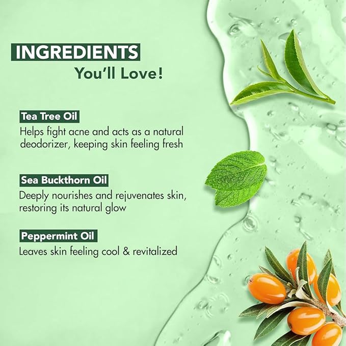 Botanic Hearth Tea Tree Body Wash - 16 Fl oz Pack of 2