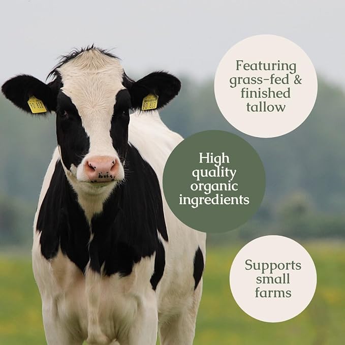 Hearth & Homestead Whipped Beef Tallow for Skin & Face - 100% Grass Fed, Eczema Cream & Body Butter - Organic Olive Oil, Calendula & Rose - Lotion & Hand Moisturizer for Dry Skin, Unscented, 2.6oz