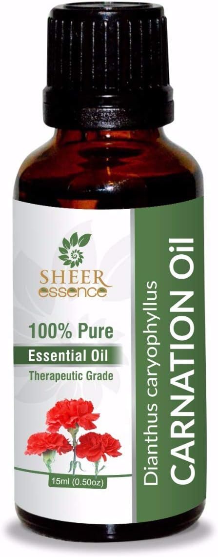 Carnation Oil 15 ML (0.51 Fl.OZ) | 100% Pure Natural Undiluted Uncut Therapeutic Grade Dianthus Caryophyllus Essential Oil