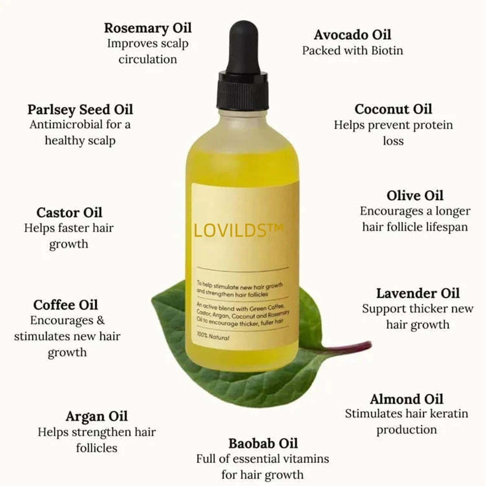LOVILDS Rosemary Hair Growth Essence - Rosemary Hair & Hair Strengthening Oil for All Hair Types (1 Bottle, 2 Ounce)