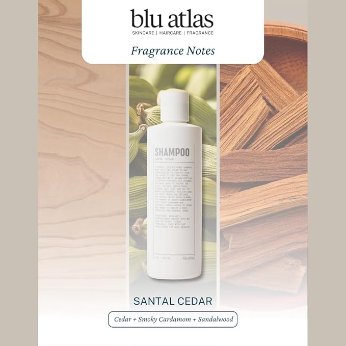 Blu Atlas Natural Shampoo for Men — Sulfate-Free for All Hair Types, 15 Ingredients, No Filler, Helps with Dandruff and Dry Scalp — Santal Cedar Scent, 8 oz