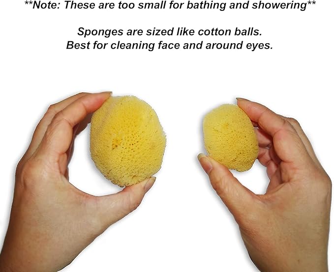 Natural Sea Silk Sponges 12pk, Cosmetic Grade Makeup & Blending Facial Care