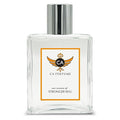 CA Perfume Impression of Stronger W/U for Men Amber Fougere Scent Long Lasting Cologne for Men Signature Scent for Day and Night Wear 3.4 Fl Oz 100ml