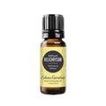 Edens Garden Helichrysum- Italicum Essential Oil- 100% Pure Premium Grade, Undiluted, Natural, Therapeutic, Aromatherapy, The Best for Diffuser, Skin, Face, Hair 10 ml (.33 fl oz)